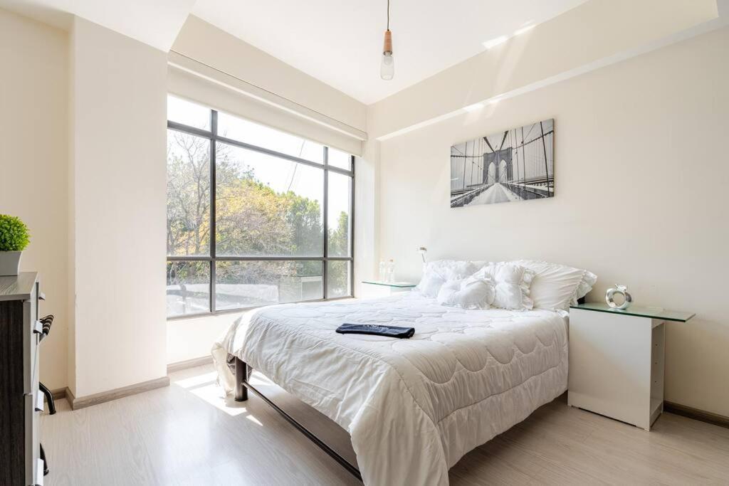 Mexico City Mondomexico Deluxe 2 Bedroom Apartments المظهر الخارجي الصورة